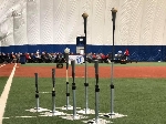 Tee-ball Standard